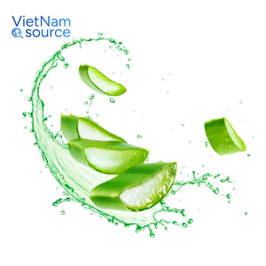 Meilleure vente de feuilles d'aloe vera entières-épaisses et juteuses et remplies d'aloe vera pur pour la beauté et le bien-être de VNS - Product Image 3