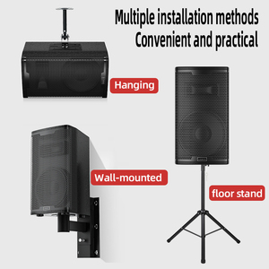 Bộ thiết bị âm thanh không dây chuyên nghiệp 8 inch 10 inch 12 inch loa treo tường trong nhà hội nghị quầy bar loa siêu trầm - Product Image 5