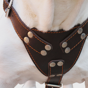 جلد طبيعي لا يسحب الكلب تسخير تدريب الحيوانات الأليفة المشي تسخير الكلب بيتبول سترة - Product Image 5