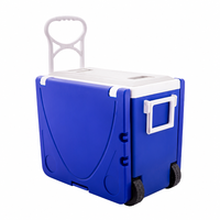 28L Faltbare Isolierte Kühlbox, Tragbarer Thermobehälter für Auto, Camping, BBQ, Marktstand, Picknick, Logo Anpassbar