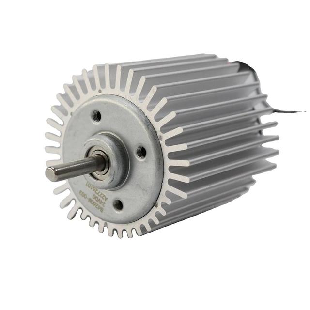Brush Less DC Motor Manufacturer T300 RS Motor