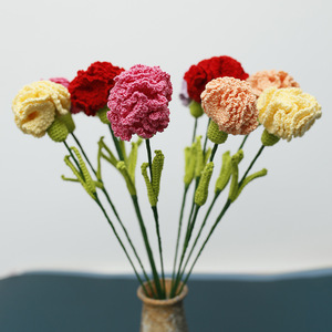 Le nouveau bouquet fait main au crochet avec des œillets tissés en dentelle est une fleur artificielle pour la fête des mères. - Product Image 4