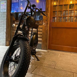 LVCO-Bicicleta de nieve gruesa no eléctrica, bici de 20 pulgadas, bajo coste, normal 73 - Product Image 1