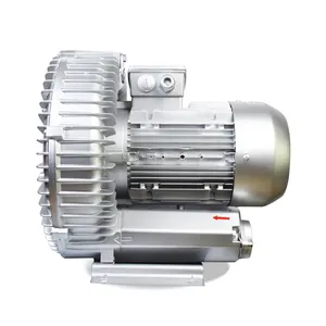 1hp/2hp/3hp Motor Ringblazers Zijaanjagers Luchtblazers Aquacultur Machine Aerat