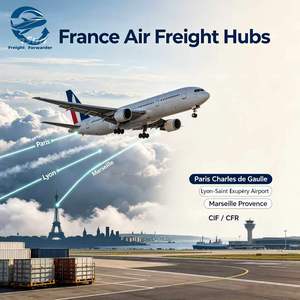 Servizio di Trasporto Aereo da Aeroporto a Aeroporto dalla Cina a Parigi CDG ORY Lyon <span class=keywords><strong>LYS</strong></span>, Agente di Spedizione CIF CFR per Carichi Fuori Misura - Product Image 4