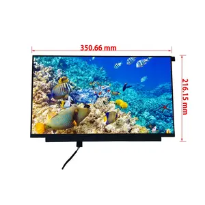 BOE 15.6 Inci Di Sel Penuh HD IPS LCD Panel TFT LCD Modul dengan Sentuh Kapasitif