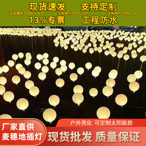 Led Point <b>Lights</b> Ip65 Dc 6V Plastic Body Rgb Color <b>Landscape</b> Outdoor Waterproof Ground Lamp For Project Installation - Product Image 5