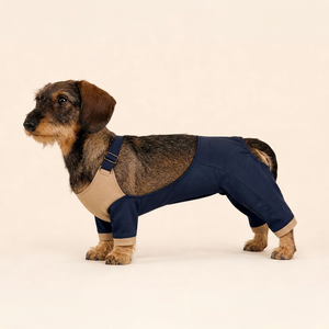 Salopette pour chien à bretelles, style color block, pour chiens de petite race à corps long (Dachshund) - Product Image 1