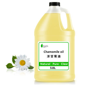 Harga Grosir Pemasok Cina Minyak Esensial Murni 100% Minyak <span class=keywords><strong>Chamomile</strong></span> Alami Aroma Manis untuk Meningkatkan Kualitas Tidur untuk Semua Jenis Kulit - Product Image 5