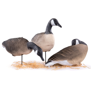 Décoys de chasse au canard 3D personnalisables, trois postures, pliables, en EVA, leurres de chasse au canard du <span class=keywords><strong>Canada</strong></span> pour accessoires de chasse en extérieur - Product Image 2
