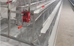 Bán hàng Gà trang trại thiết bị trứng chọn máy trứng Bộ sưu tập máy thiết bị - Product Image 3