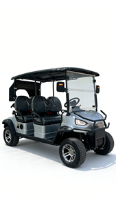 Carrito de Golf Eléctrico Semiautomático Premium de 2 Plazas y Vehículo Turístico con Batería de Litio de 72V150A, 35KM/H, Carrocería Completamente de Plástico - Product Image 5