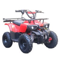 Quad à essence 49cc 2 temps de haute qualité, ATV à quatre roues, ATVS avec CE pour enfants en vente chaude