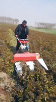 Mini tondeuse à blé et à riz, Machine de coupe d'herbe, machine de récolte de riz, tondeuse arrière, moissonneuse de forage