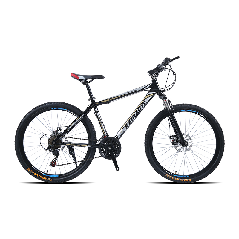 Trova le migliori marche di biciclette tedesche Produttori e marche di biciclette  tedesche per italian Speaker Mercato in alibaba.com