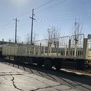 Nouvelle clôture de semi-<span class=keywords><strong>remorque</strong></span> <span class=keywords><strong>pour</strong></span> le transport d'animaux de cargaison Transport de bétail Vente de transporteur de bétail de <span class=keywords><strong>remorque</strong></span> de camion d'<span class=keywords><strong>occasion</strong></span> - Product Image 2
