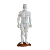 Modèle d'acupuncture 50CM Homme Hôpital École de médecine Enseignement Modèle anatomique d'acupuncture