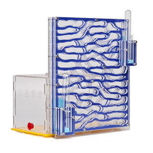 Formicaio Moderno Classico Fai-da-te in ABS, Legno e Acrilico con Area di Alimentazione, Cucina Esterna <span class=keywords><strong>per</strong></span> <span class=keywords><strong>Formiche</strong></span> - Vari Modelli - Product Image 6