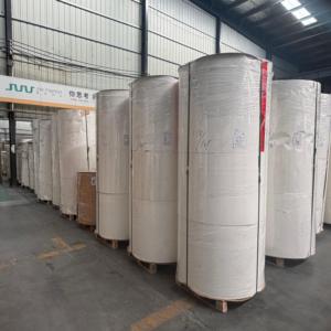 Rouleau de papier en vrac standard 240 g/m² biodégradable enduit de PE résistant à l'huile pour la fabrication de fonds de gobelets en papier – Vente en gros - Product Image 3