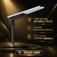 Lampadaire Solaire LED Intégré Monocristallin LiFePO4 60W, Étanche IP66, Garantie 3 Ans, Idéal pour l'Extérieur et la Route - Direct Usine (12 Ans d'Expérience)