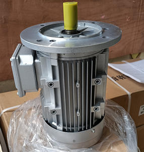 알루미늄 쉘을 사용한 전자기 유도 3 상 Ac 유도 모터 0.37kw 0.55kw 0.75kw - Product Image 6