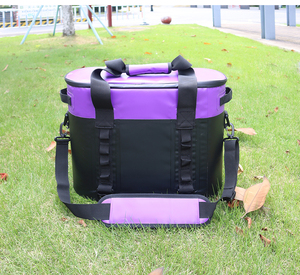 Sac isotherme de luxe classique en PEVA souple pour vin, personnalisable, écologique, imperméable et maintien au froid - Product Image 4