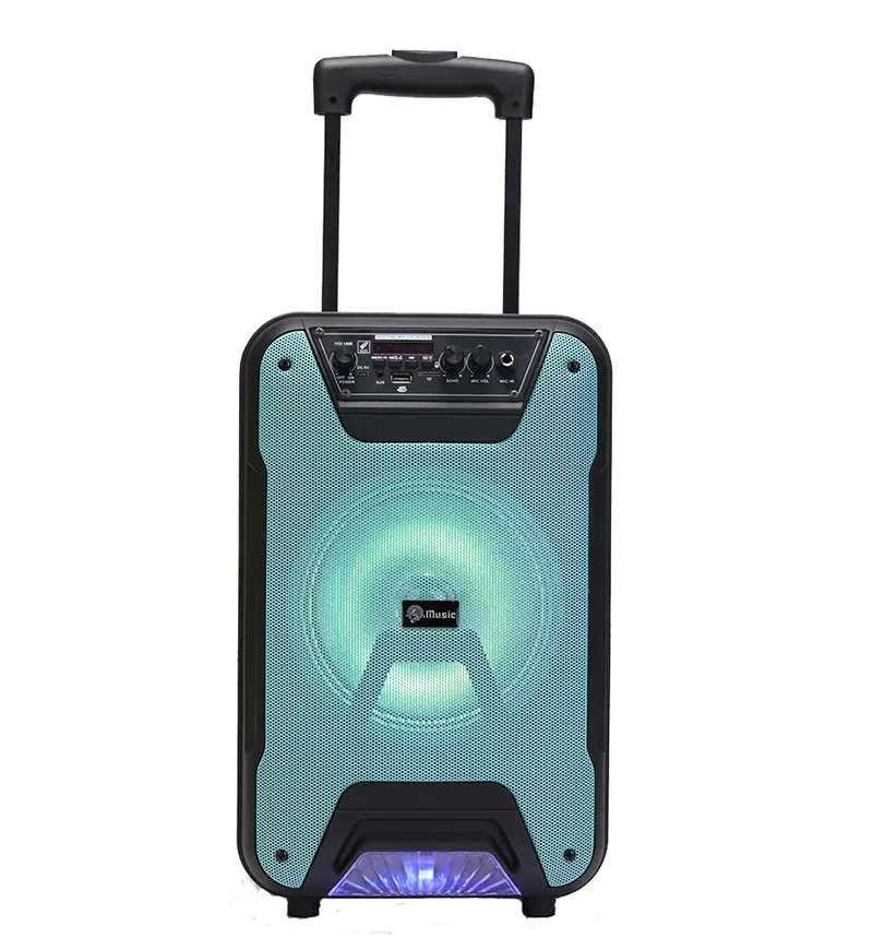 Redwingy TTD-8257 8 Zoll wiederaufladbares System Lautsprecher bester Sub-woofer mit Mikrofon großem Ton Karaoke DJ Lautsprecher mit Led-Leuchten