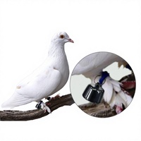 Pelacak Hewan Peliharaan Mini GPS Findtag untuk Perjalanan Lintas Negara |   Pelacak Global Teknologi Bluetooth/WiFi NFC Daya Tahan Baterai 1 Tahun Plastik