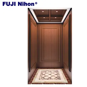 FUJI factory Customized golden Steel Stainless luxury Modern design small home elevator