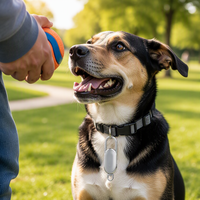 Traceur GPS GSM Métal Mini Étanche IP67 pour Animaux de Compagnie, AGPS Anti-Perte, Localisateur Porte-clés Chien Chat, Portable, Autonomie 1 An
