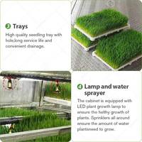 Système de germination hydroponique pour fourrage vert d'orge en bac à semis, pour conteneur de ferme de transport et chambre de culture, à vendre