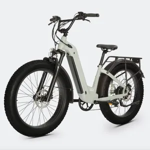 750w peak1000W 브러시리스 모터 전기 산악 자전거 26in 모든 나무 지방 타이어 Ebike 48V 15AH 이동식 전기 사이클