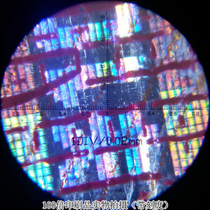 Double-<b>tube</b> microscope, high magnification 100x, with graduations and <b>LED</b> display, suitable for student laboratories, animal - Product Image 2