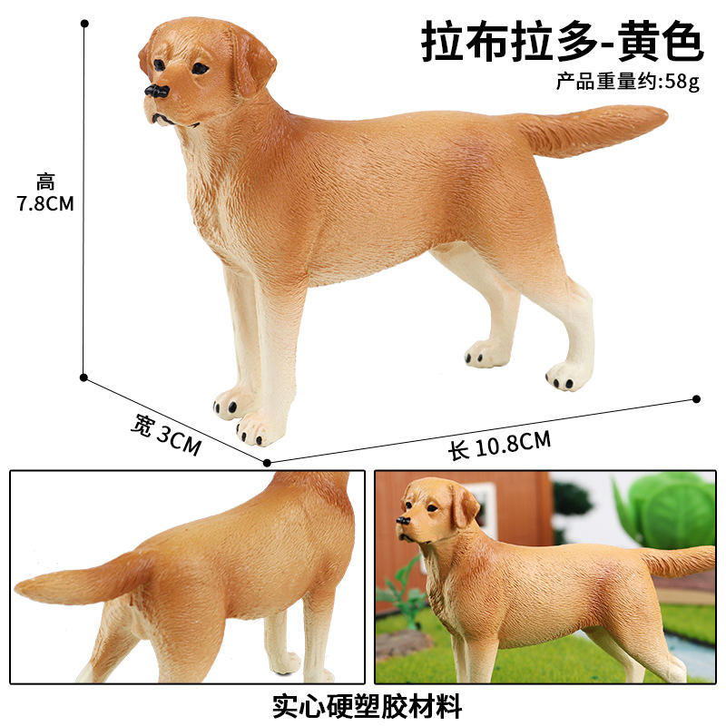 M-2257 Labrador (Amarillo)