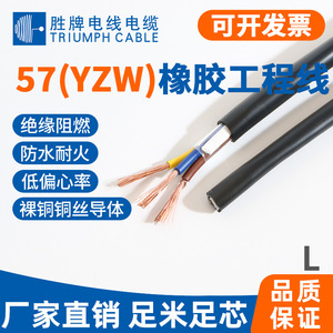 Triumph Cable YZW Rubber Sheathed Cable 2 3 4 5 Core Oxygen Free Copper 0.75 1.0 1.5 2.5mm For Electrical Equipment - Product Image 4
