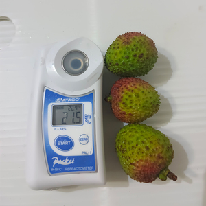 Lychees frais chinois super doux High Brix Lichee Litchi Lichi Fruits frais (Fi <span class=keywords><strong>Tsz</strong></span> Siu) - Product Image 2