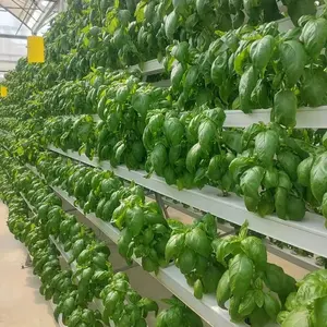 Greenhouse NFT Channels Grow Systems PVC Channel Cultivation System Hydroponics Supplier