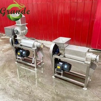 Wortel-appel-tarwegras-gember koudpers sapcentrifuge met crusher voor het maken van harde groentesappen