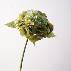 H-1008 <span class=keywords><strong>Ortensie</strong></span> Artificiali Realistiche Bianche e Verdi, Nuovo Design, Grandi Fiori di Hortensia con Effetto Realistico per Matrimoni e Cerimonie di Laurea - Product Image 3