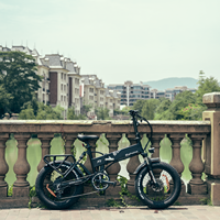 Fabricant chinois X7 750W Vélo électrique à moteur Fatbike 25 °   Moteur de vélo électrique cargo Gradeability 48V 15Ah pour adultes