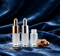 Tube de brillant à lèvres vide en forme de biberon pour la vente en gros, 2,5 ml, or rose/argent, emballage cosmétique