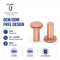 Rivets plats de précision TianFang pour coins de boîtiers d'instruments, finition acier oxydé noir, contrôle qualité et approvisionnement en gros