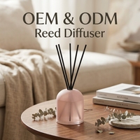 Diffuseur de parfum en céramique prêt à l'emploi, désodorisant d'ambiance, accessoires de parfumerie d'intérieur longue durée, idéal pour les cadeaux de mariage, marque personnalisable