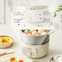 Appareils de comptoir Cuiseur à œufs automatique avec support en acier inoxydable pour la cuisine domestique.