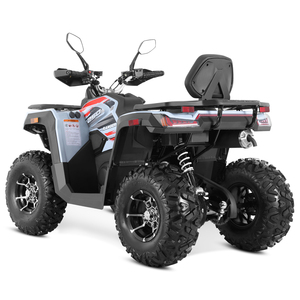 Quad ATV Tao Motor 2026, nouveau modèle homologué EEC T3B, 4x2, automatique, transmission par chaîne, adulte, 250cc, avec CE EPA - Product Image 6