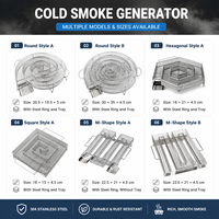 Générateur de fumée froide en acier inoxydable, kits d'outils de fumage au bois pour saumon, viande, poisson, barbecue extérieur
