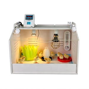 <span class=keywords><strong>Incubadora</strong></span> Comercial con Control de Temperatura para la Cría de Pollitos, Codornices, Patos y Gansos - Product Image 2