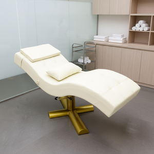Wholesale Facial Bed Beauty Lash Bed Trolley Chair, Full Set Salon Furniture Package, Electric Adjustable Spa Treatment Table - Product Image 1