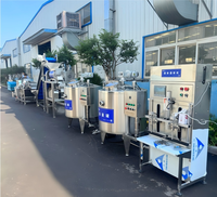 Multifunctionele apparatuur voor het maken van jam, productielijn voor mangopuree-concentratie, complete machines voor de verwerking van mandarijnenvlees