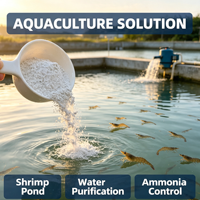Poudre de zéolite clinoptilolite naturelle de haute pureté, blanc cassé, 600 mesh, pour l'aquaculture/l'agriculture, l'alimentation animale, la litière pour animaux de compagnie, désodorisant, 1 kg MOQ
